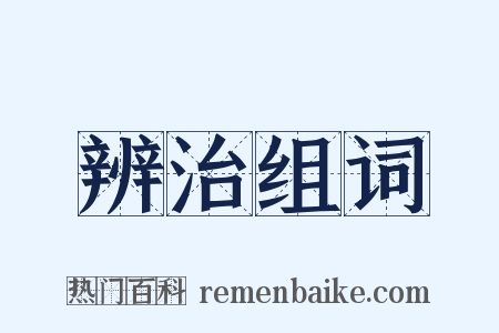 辨治组词是什么意思的图片